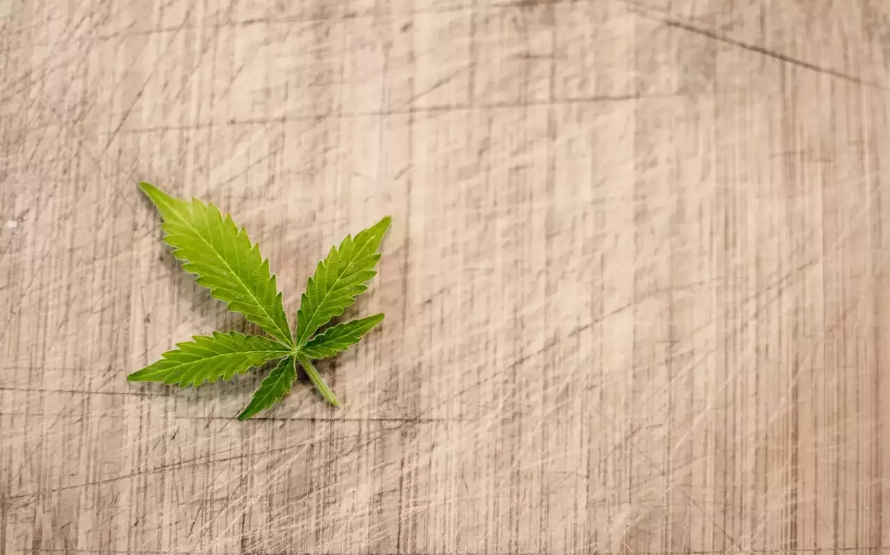Ultimate New York City Weed Visitor's Guide for 2023 and 2024