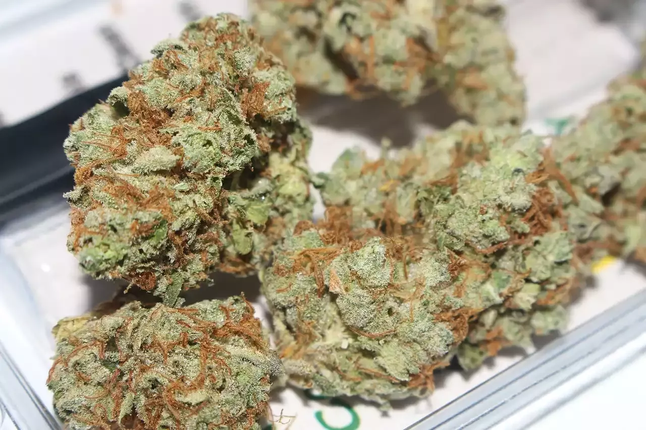 Different THC Strains